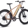 LMTDv2_XR_copper_angle-back-1400x933_new color
